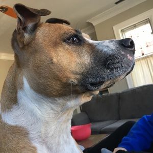 Meet your Posher, Lena